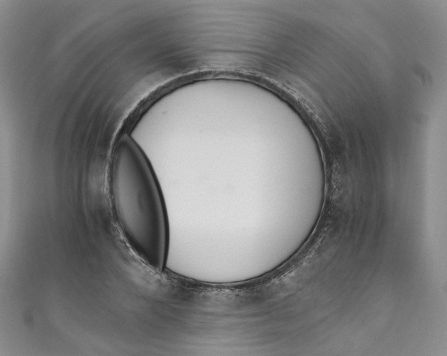 X0000110910880200907091434