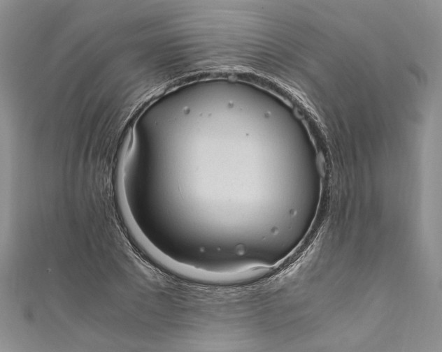 X0000110910881200907091434