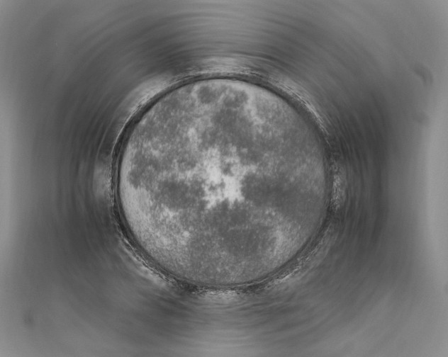 X0000110910882200907091434