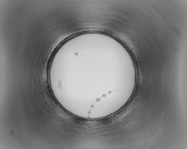 X0000110910883200907091434