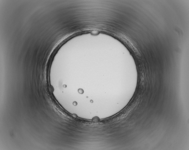 X0000110910884200907091434