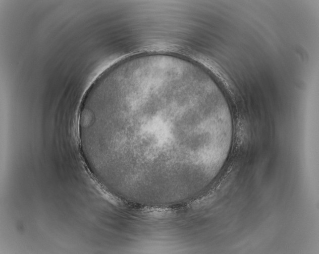 X0000110910886200907091434