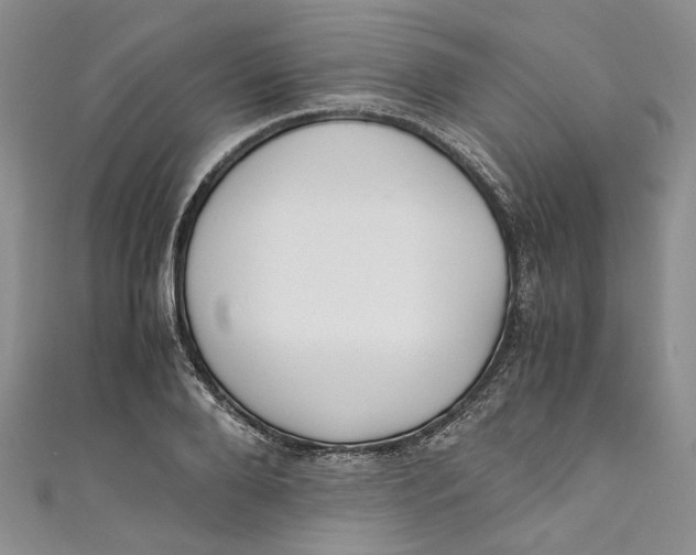 X0000110910888200907091434