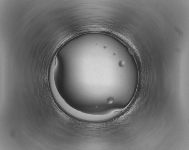 X0000110910889200907091434