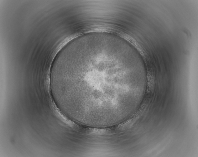 X0000110910890200907091434