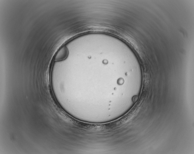 X0000110910891200907091434