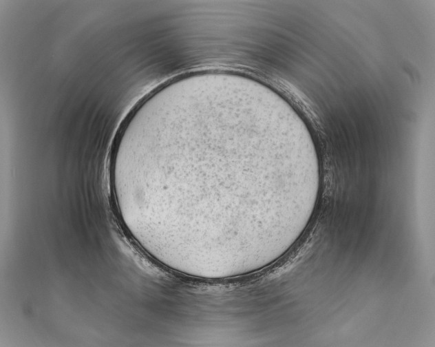 X0000110910892200907091434