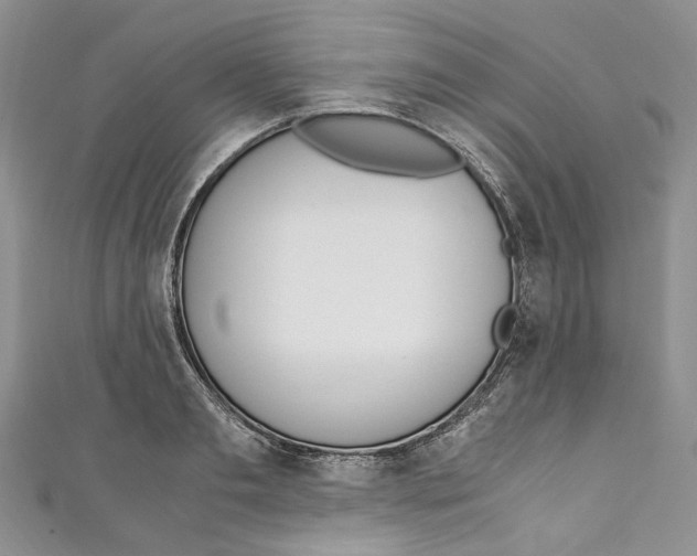 X0000110910893200907091434