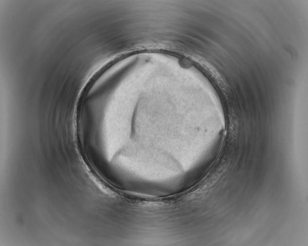 X0000110910894200907091434