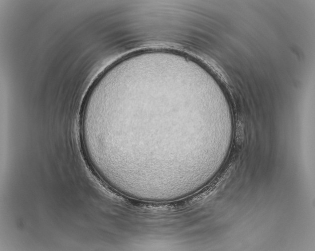 X0000110910895200907091434