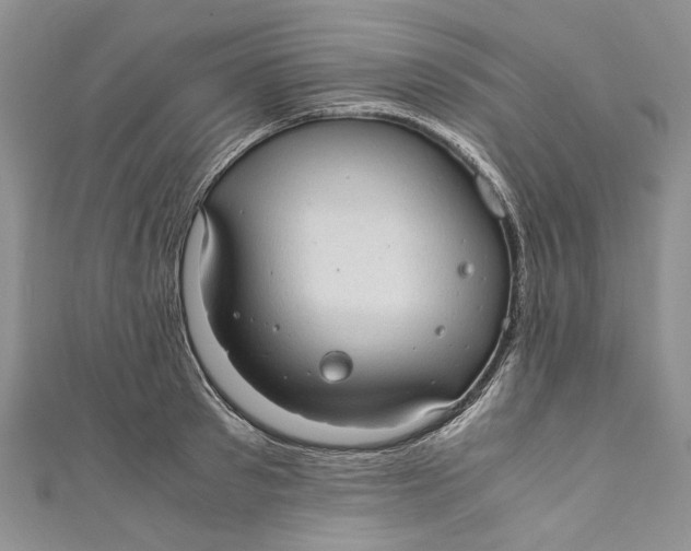 X0000110910897200907091434