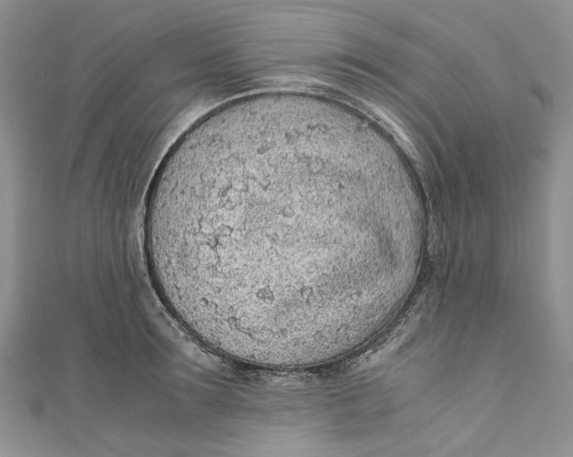 X0000110910899200907091434