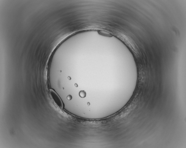 X0000110910900200907091434