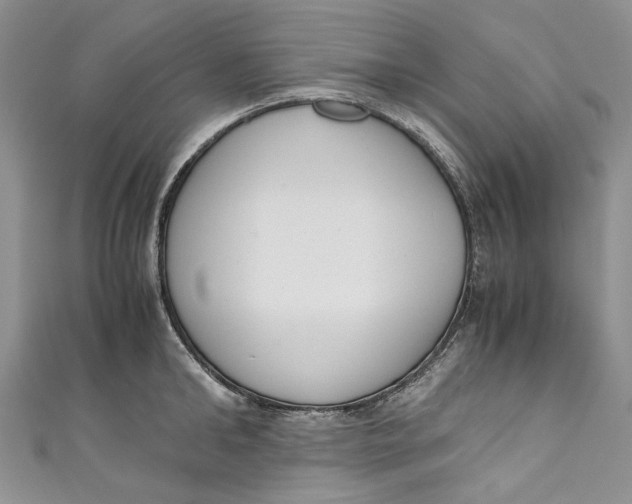 X0000110910902200907091434