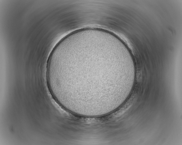 X0000110910903200907091434