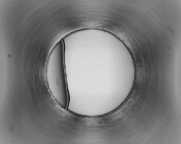 X0000110910904200907091434