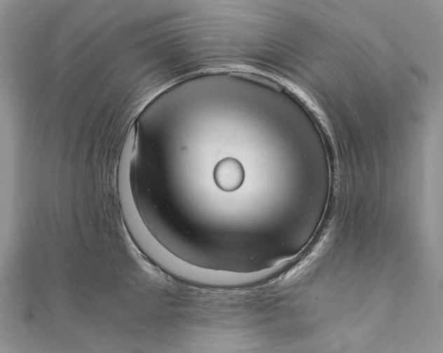 X0000110910905200907091434