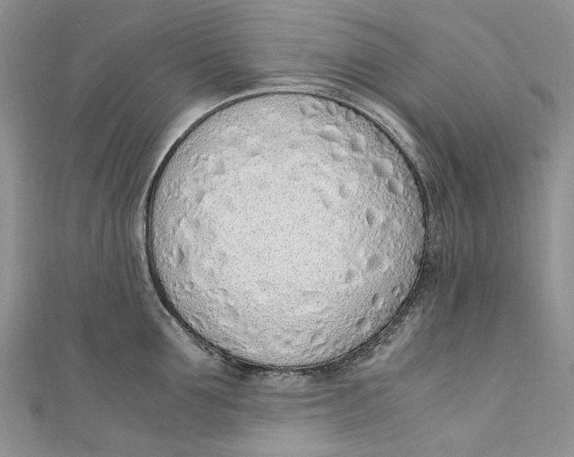 X0000110910907200907091434