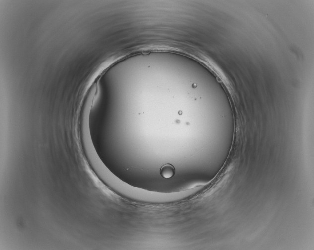 X0000110910909200907091434