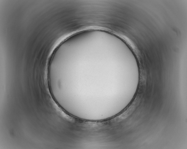 X0000110910910200907091434