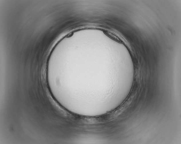 X0000110910911200907091434