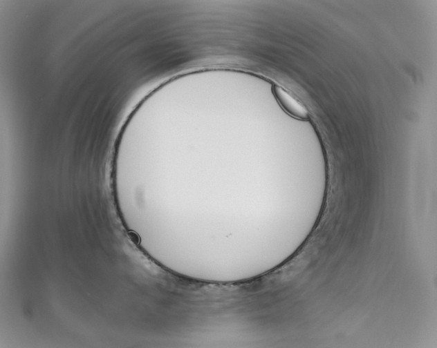 X0000110910912200907091434