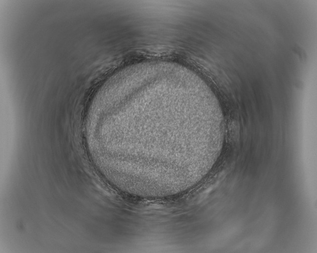 X0000110910913200907091433