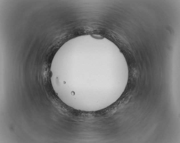 X0000110910914200907091433