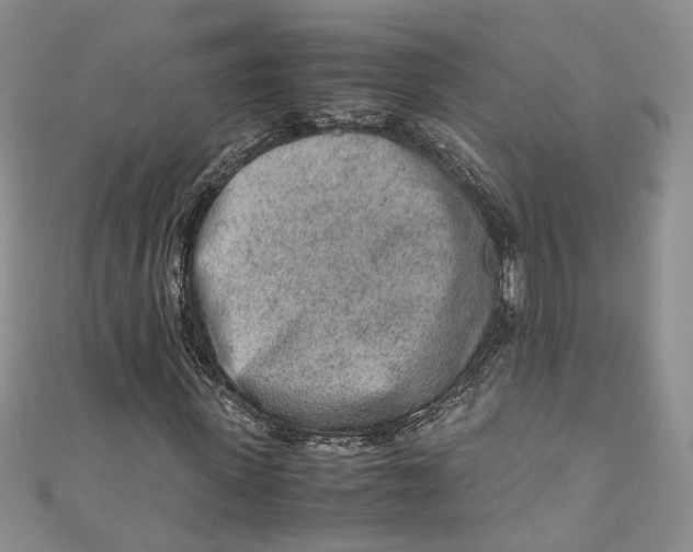 X0000110910915200907091433