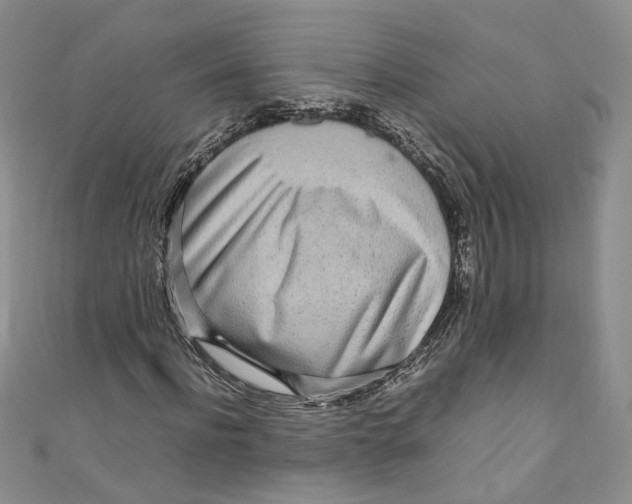 X0000110910916200907091433