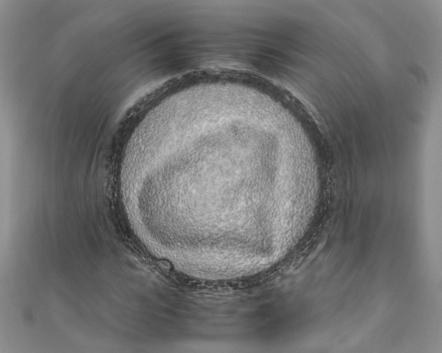 X0000110910919200907091433