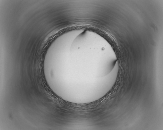 X0000110910920200907091433