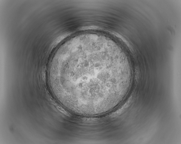 X0000110910921200907091433