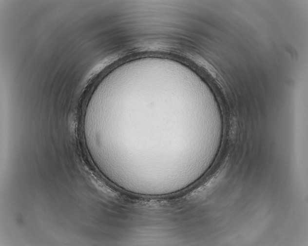 X0000110910922200907091433