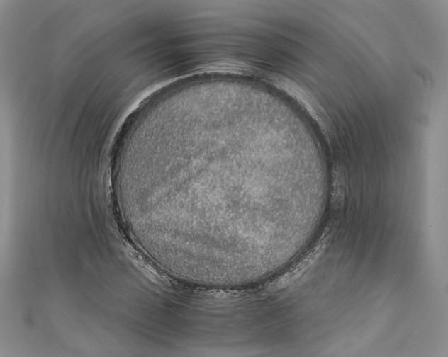 X0000110910923200907091433