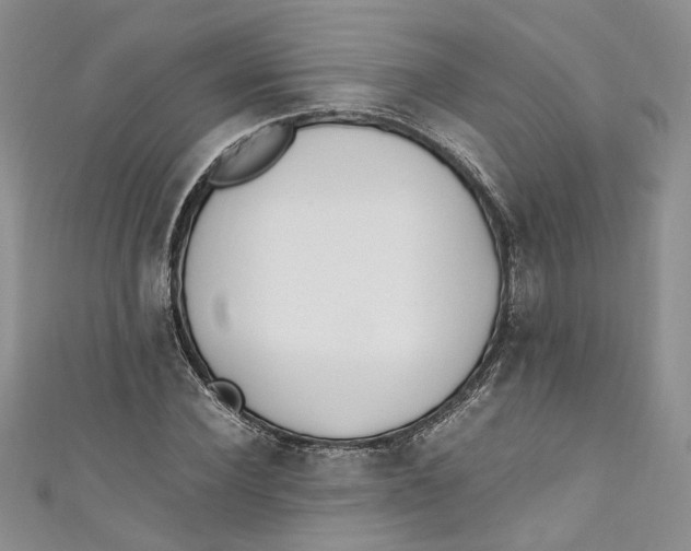 X0000110910924200907091433