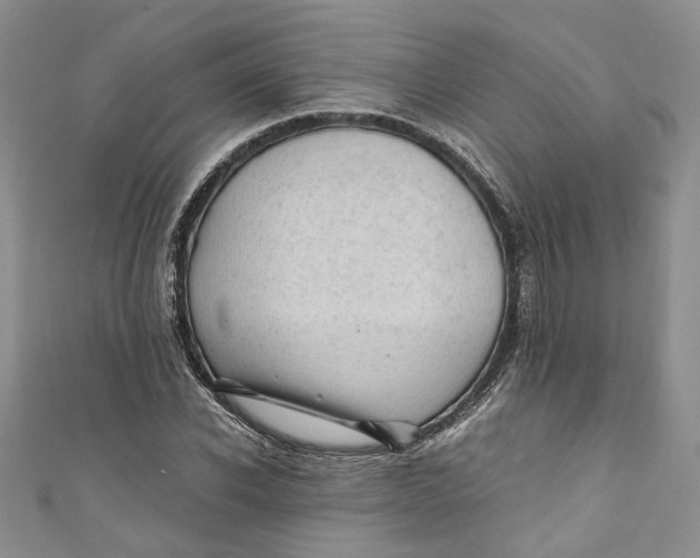 X0000110910926200907091433