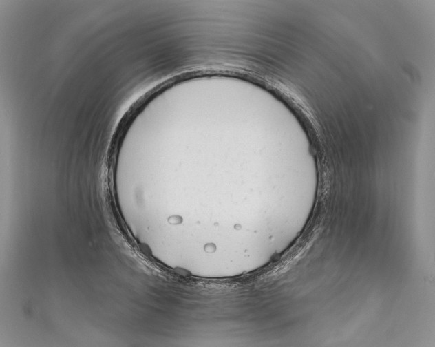 X0000110910928200907091433