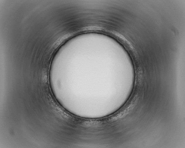 X0000110910929200907091433