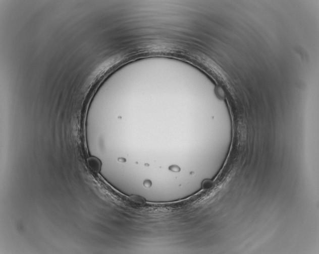 X0000110910930200907091433