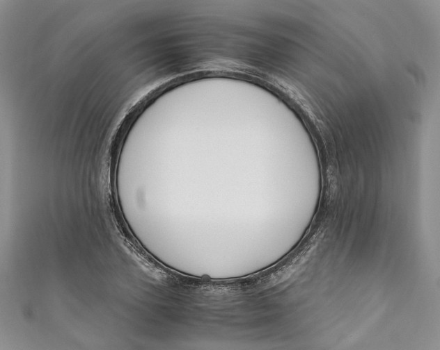 X0000110910931200907091433