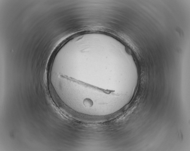 X0000110910932200907091433