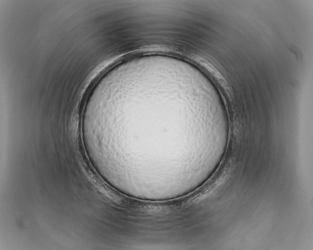 X0000110910933200907091433