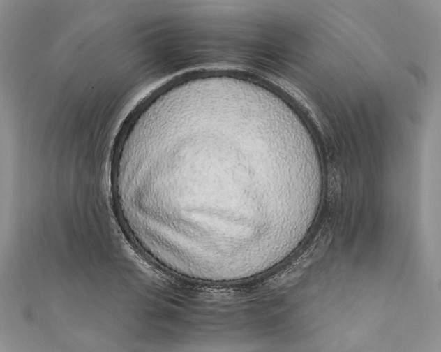 X0000110910935200907091433