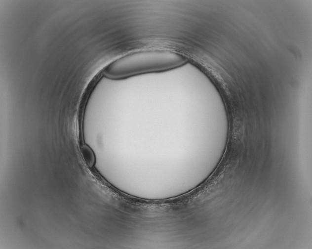 X0000110910936200907091433