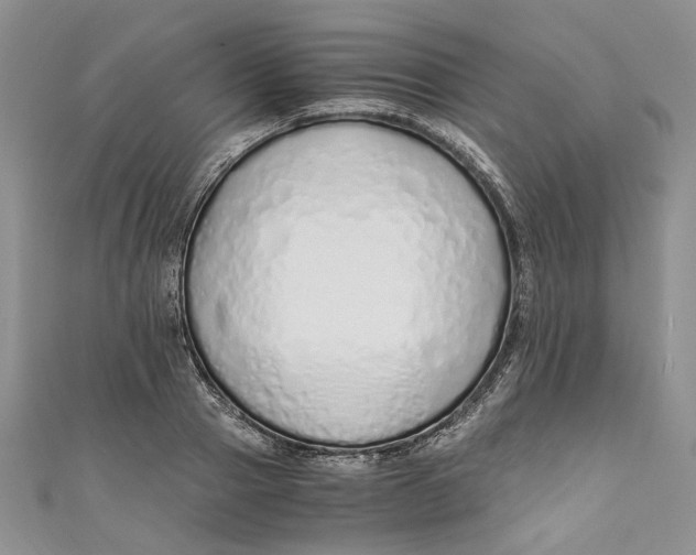 X0000110910937200907091433