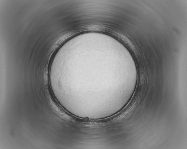 X0000110910938200907091433