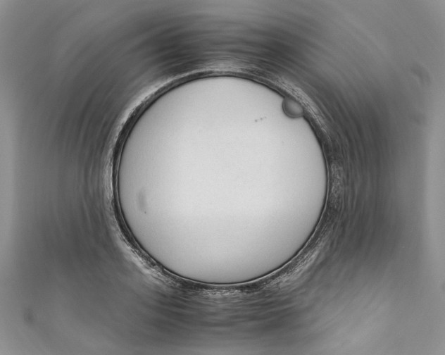 X0000110910939200907091433