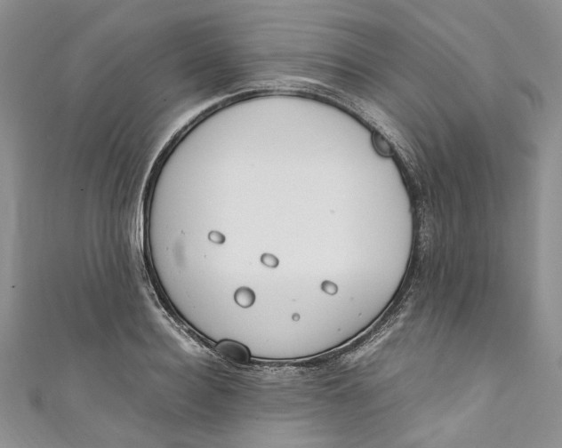 X0000110910940200907091433