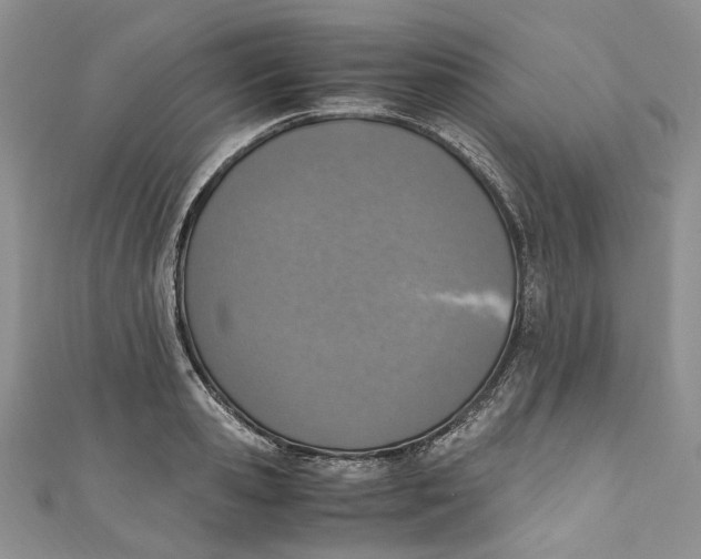 X0000110910941200907091433